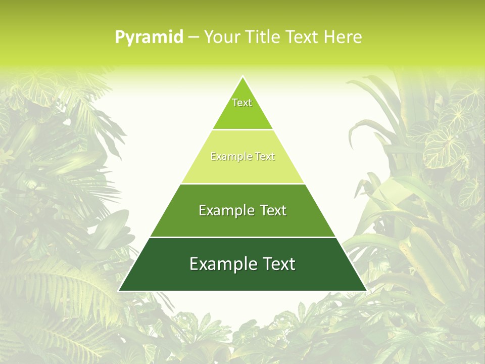 Tropical Plants Garden Blank Space PowerPoint Template