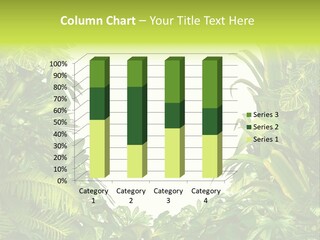 Tropical Plants Garden Blank Space PowerPoint Template