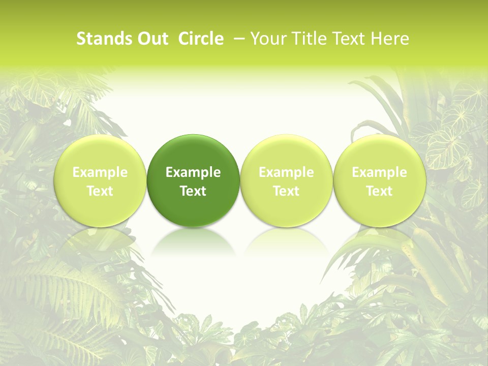 Tropical Plants Garden Blank Space PowerPoint Template