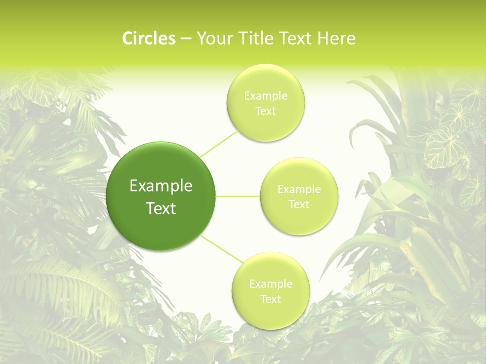 Tropical Plants Garden Blank Space PowerPoint Template