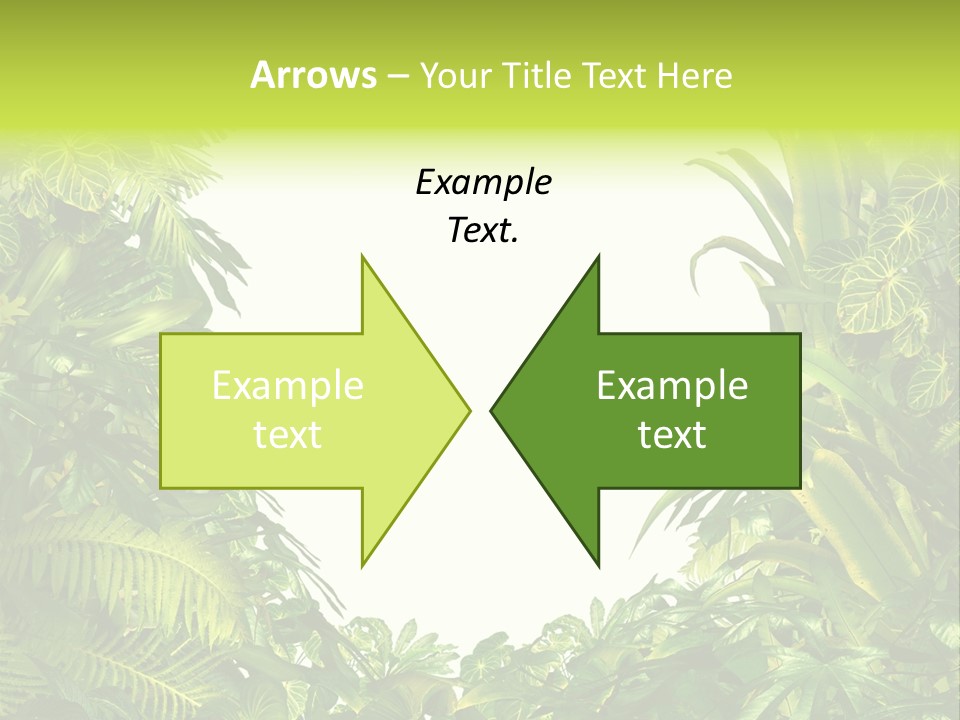 Tropical Plants Garden Blank Space PowerPoint Template