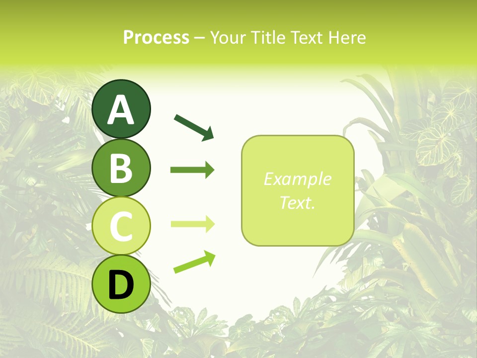 Tropical Plants Garden Blank Space PowerPoint Template