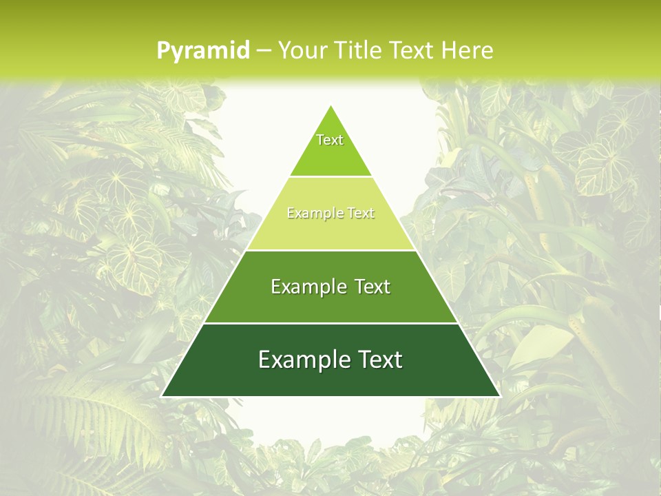 Liberation Solution Future PowerPoint Template
