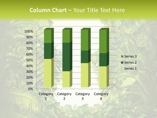 Liberation Solution Future PowerPoint Template