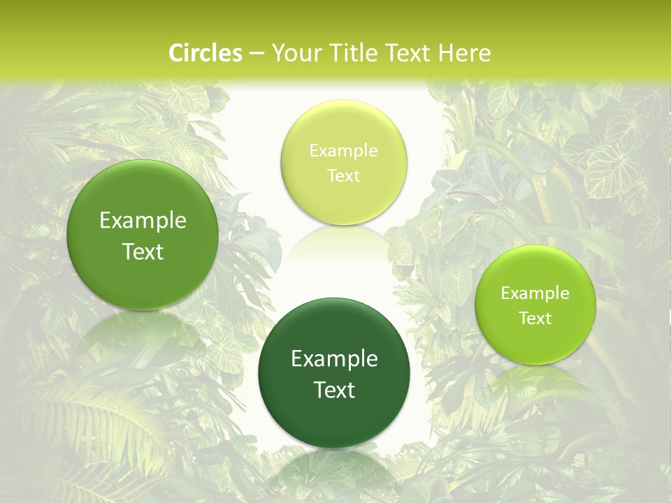 Liberation Solution Future PowerPoint Template