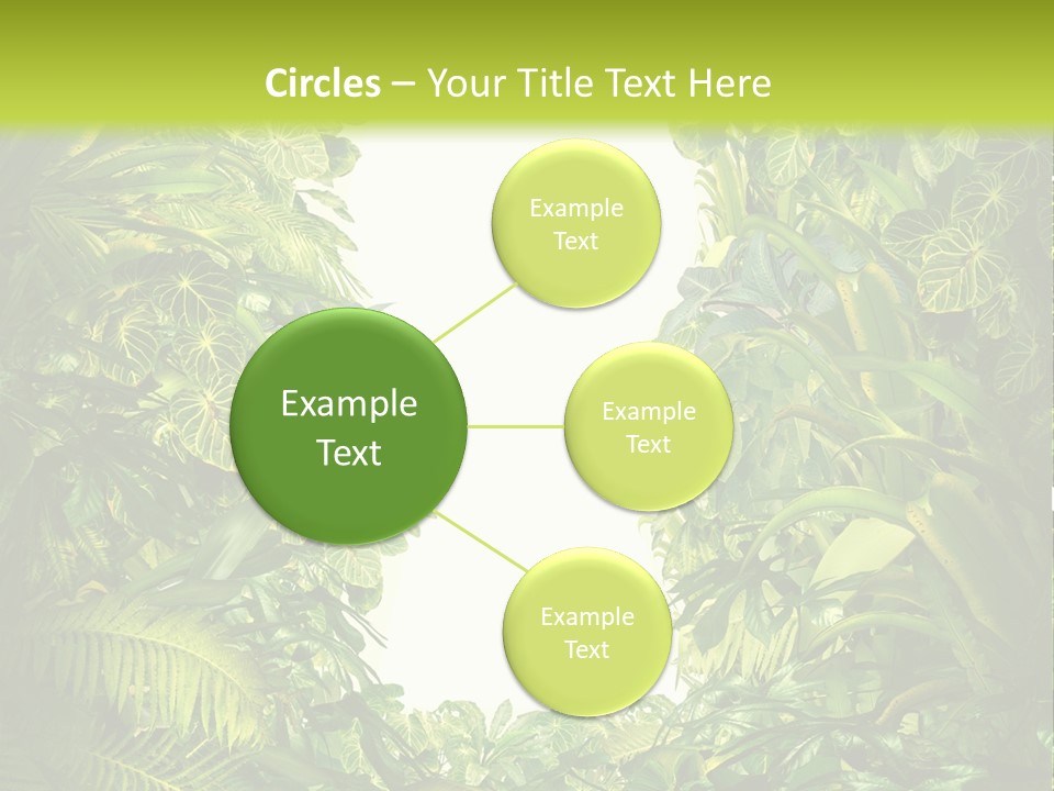 Liberation Solution Future PowerPoint Template