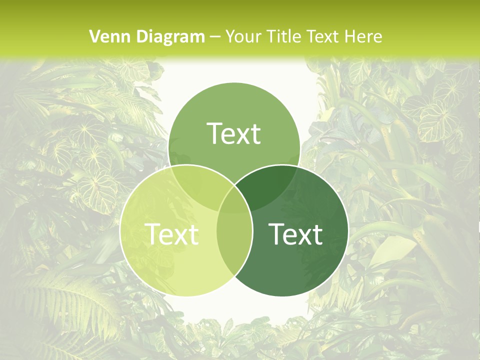 Liberation Solution Future PowerPoint Template