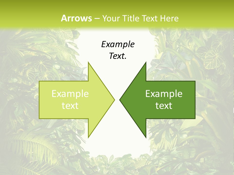 Liberation Solution Future PowerPoint Template