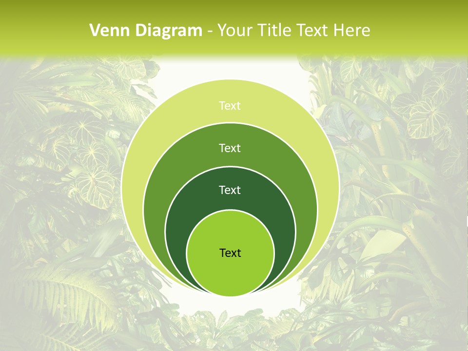 Liberation Solution Future PowerPoint Template