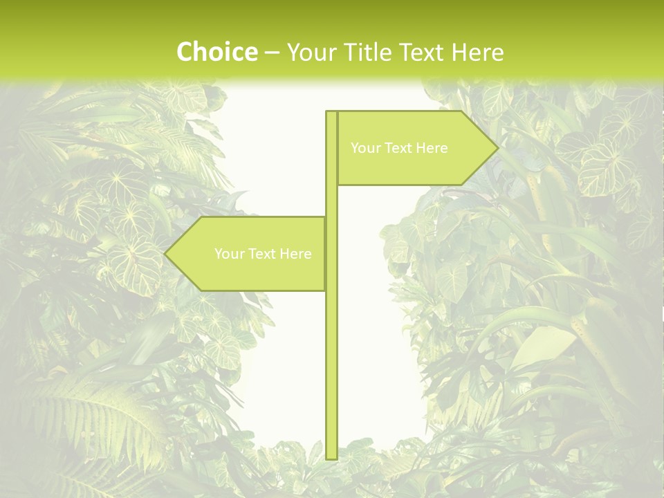 Liberation Solution Future PowerPoint Template