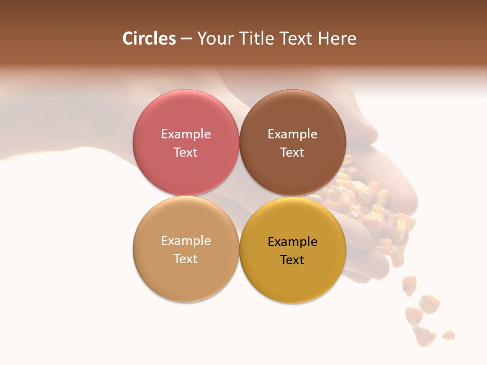 Grow Beauty Seeds PowerPoint Template