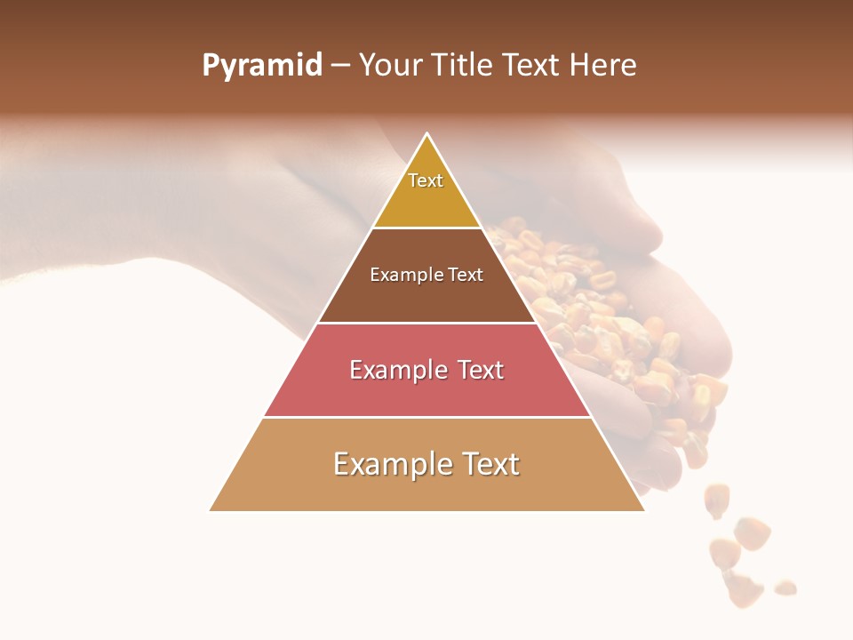 Grow Beauty Seeds PowerPoint Template