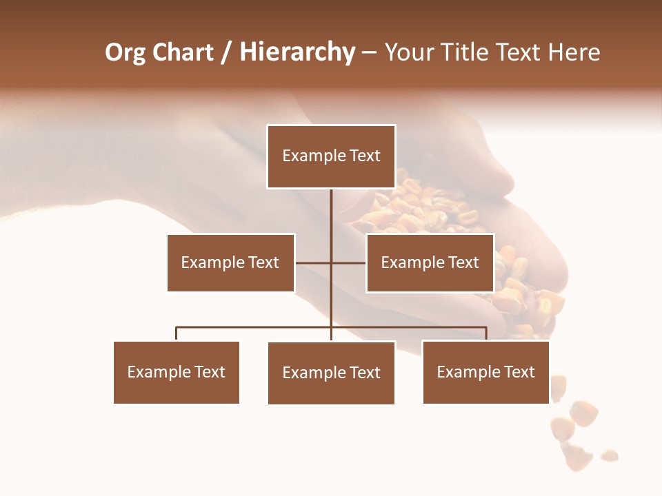 Grow Beauty Seeds PowerPoint Template