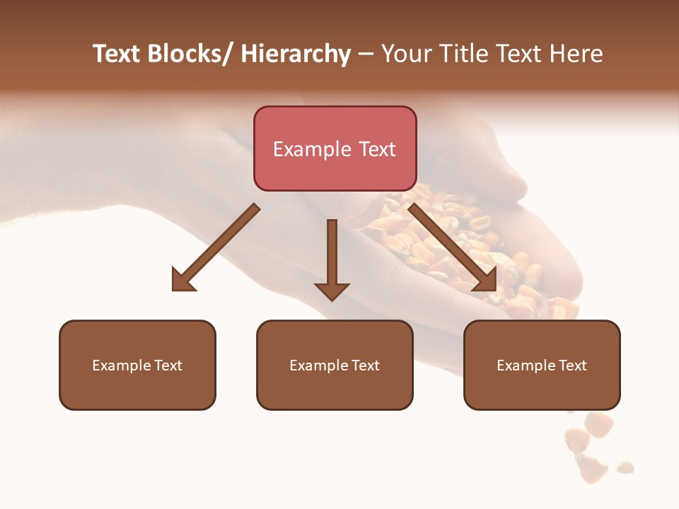 Grow Beauty Seeds PowerPoint Template