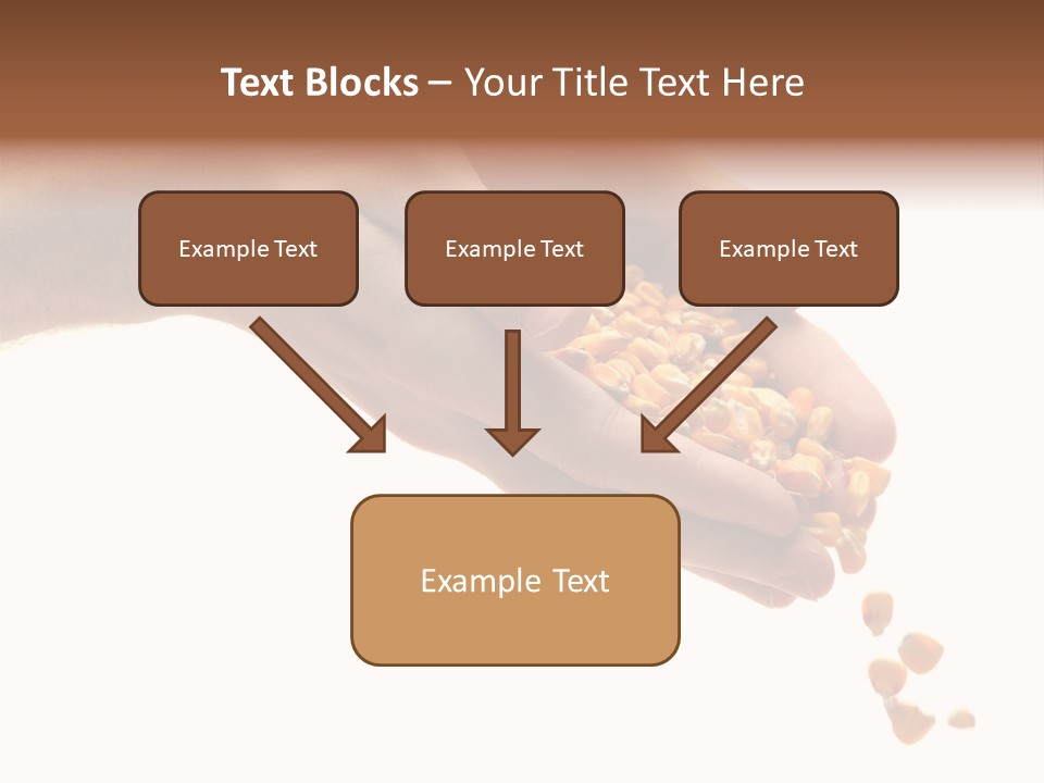 Grow Beauty Seeds PowerPoint Template