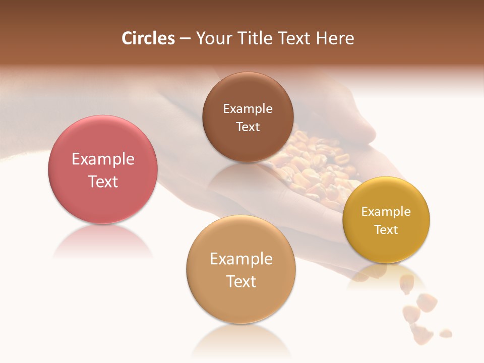 Grow Beauty Seeds PowerPoint Template