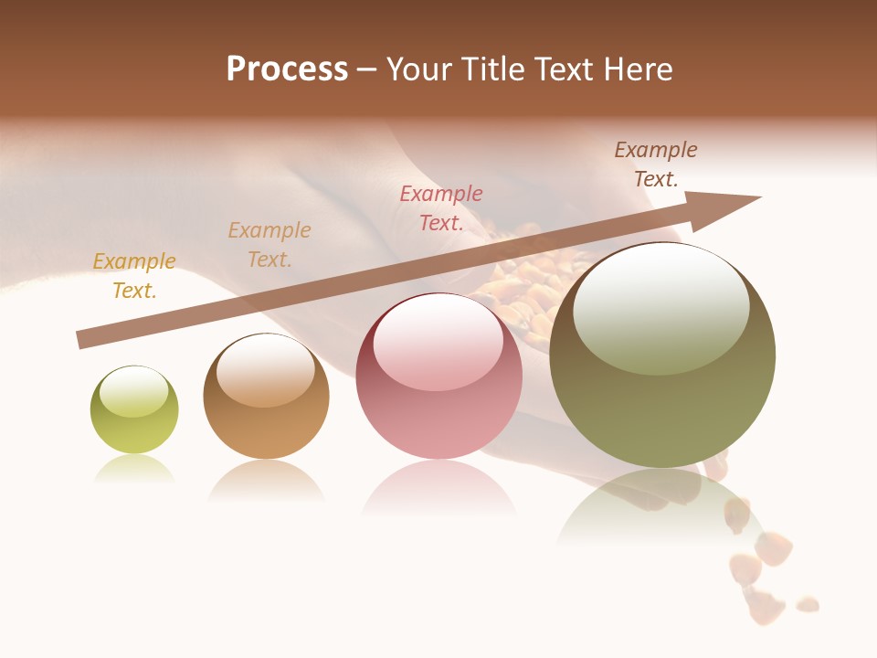 Grow Beauty Seeds PowerPoint Template