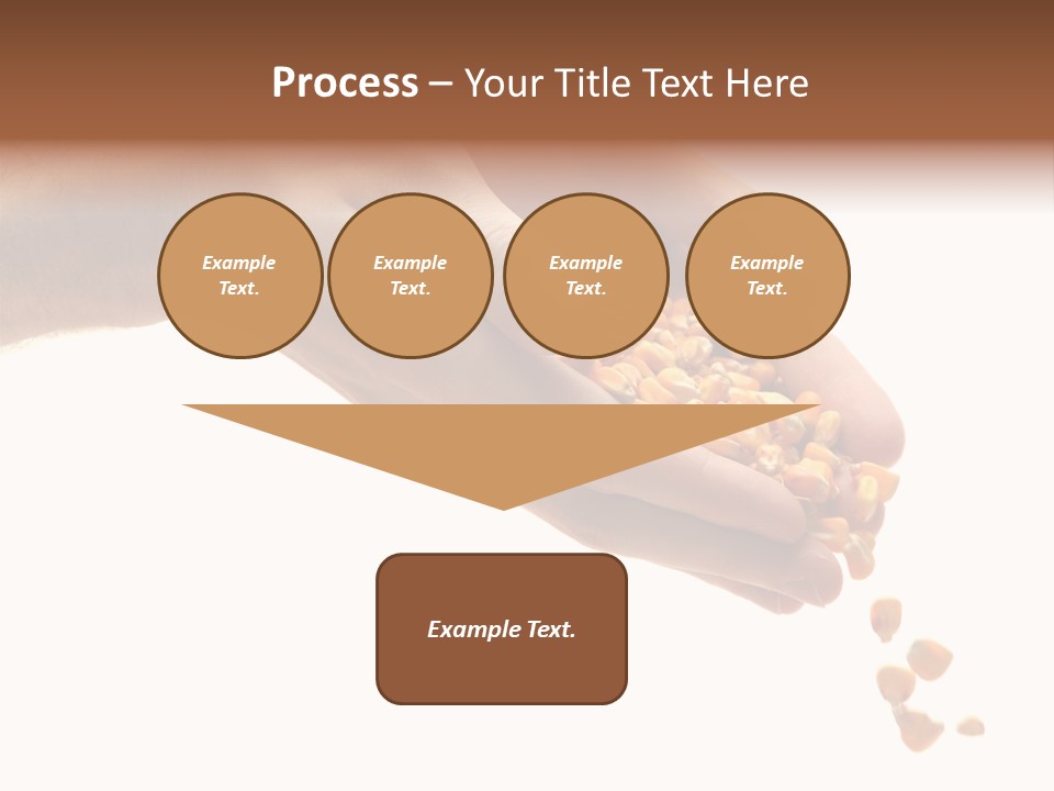 Grow Beauty Seeds PowerPoint Template