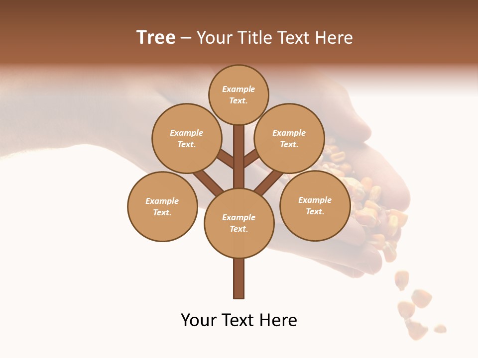 Grow Beauty Seeds PowerPoint Template