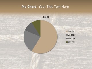 Simple Twisted Variety PowerPoint Template