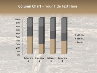 Simple Twisted Variety PowerPoint Template