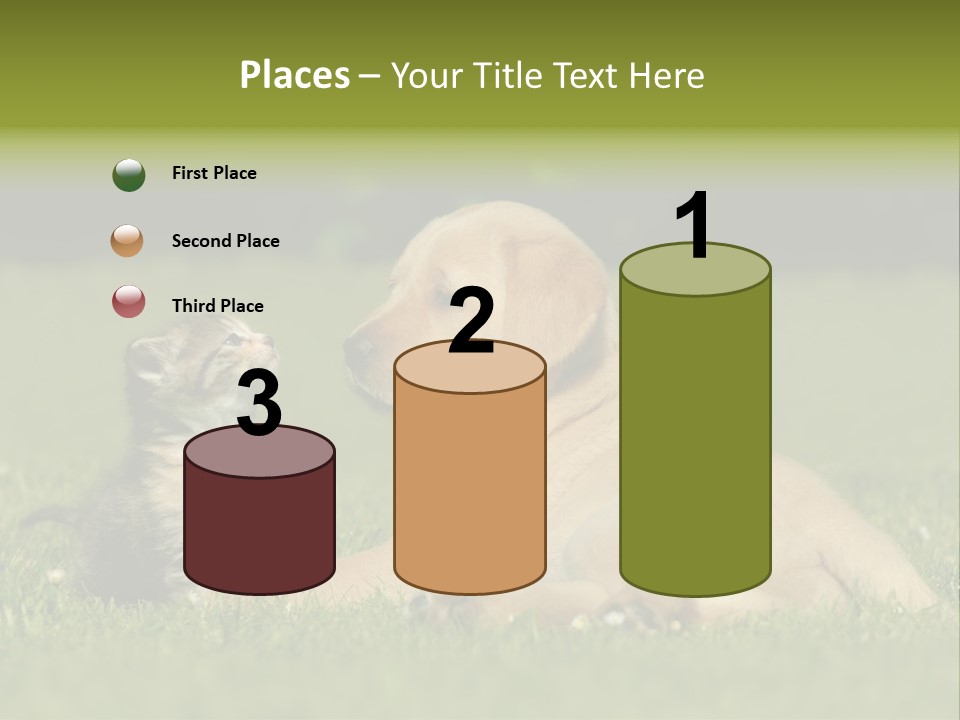 Two Lying Cat PowerPoint Template