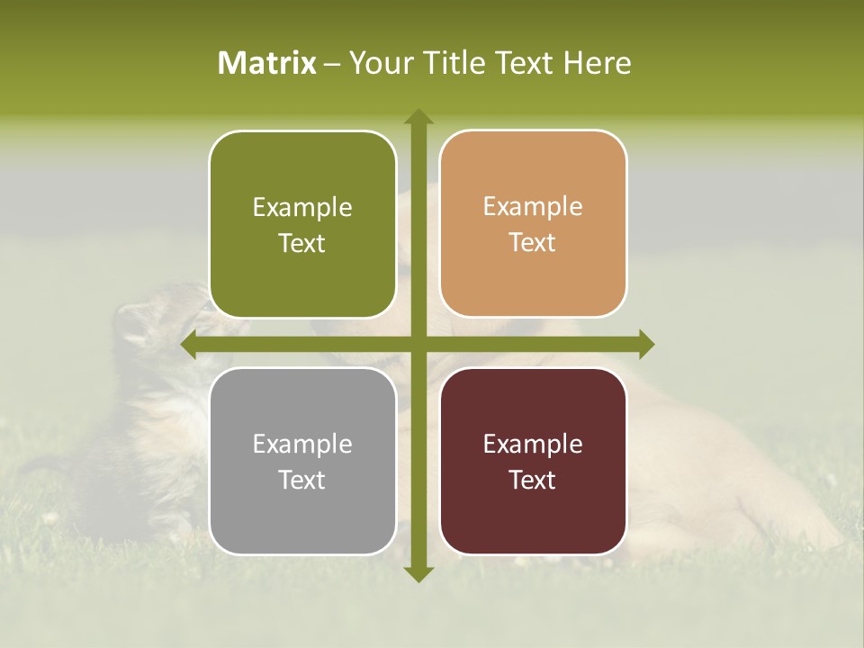 Two Lying Cat PowerPoint Template