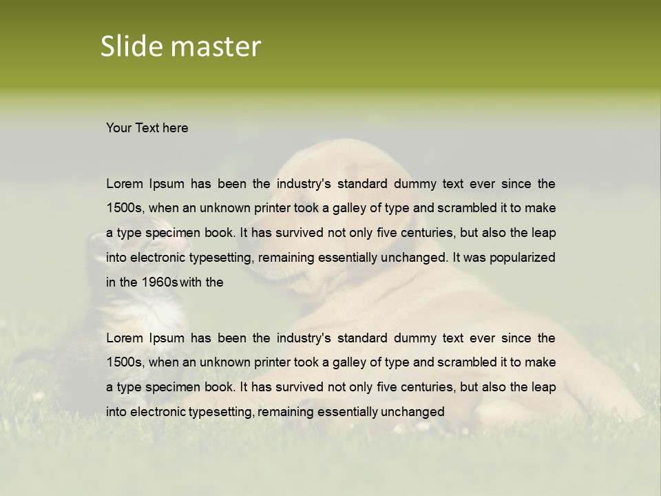 Two Lying Cat PowerPoint Template