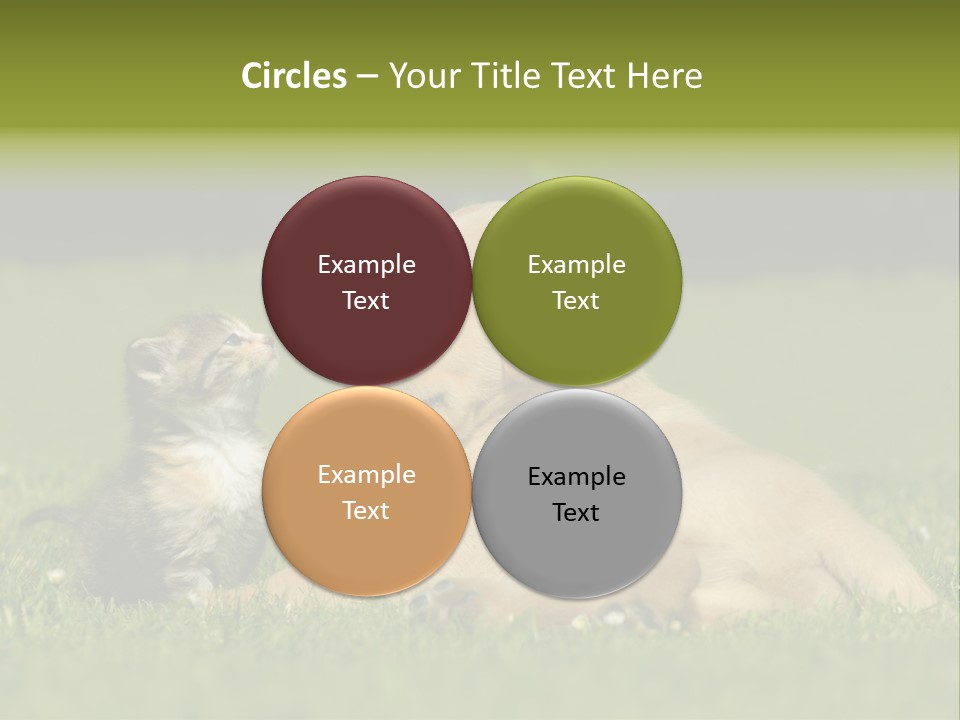 Two Lying Cat PowerPoint Template