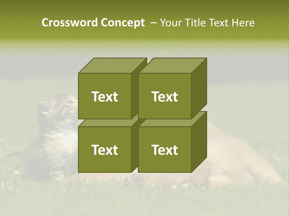 Two Lying Cat PowerPoint Template