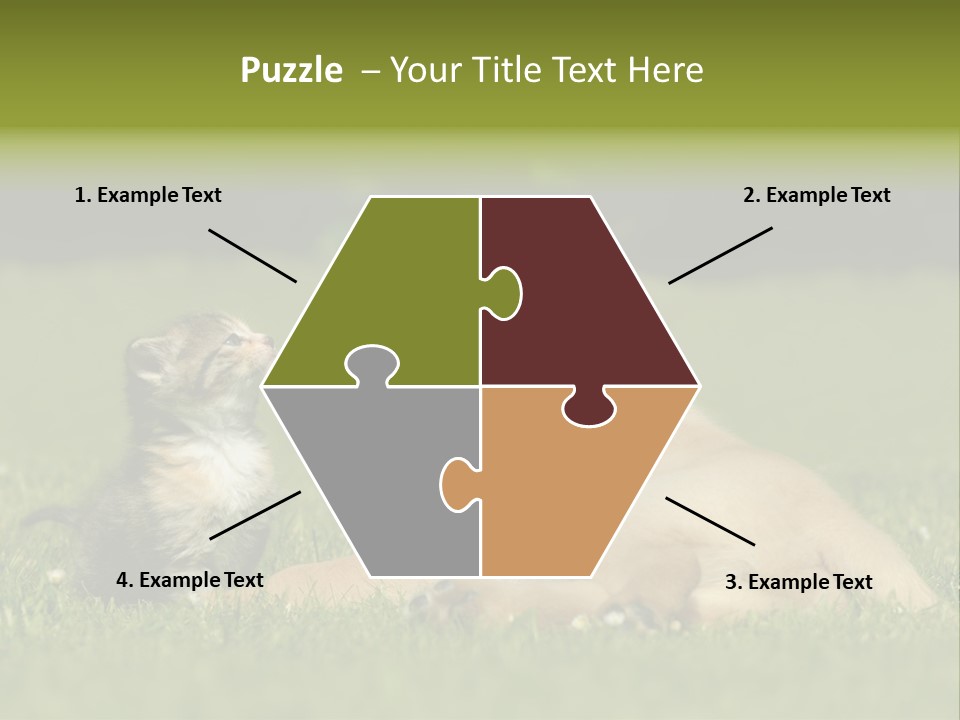 Two Lying Cat PowerPoint Template