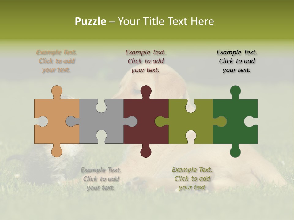 Two Lying Cat PowerPoint Template