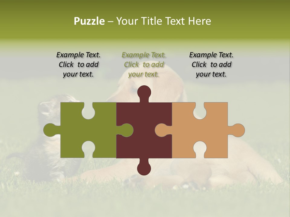 Two Lying Cat PowerPoint Template