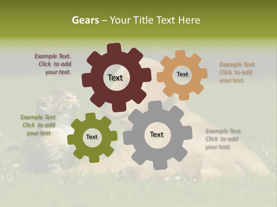 Two Lying Cat PowerPoint Template