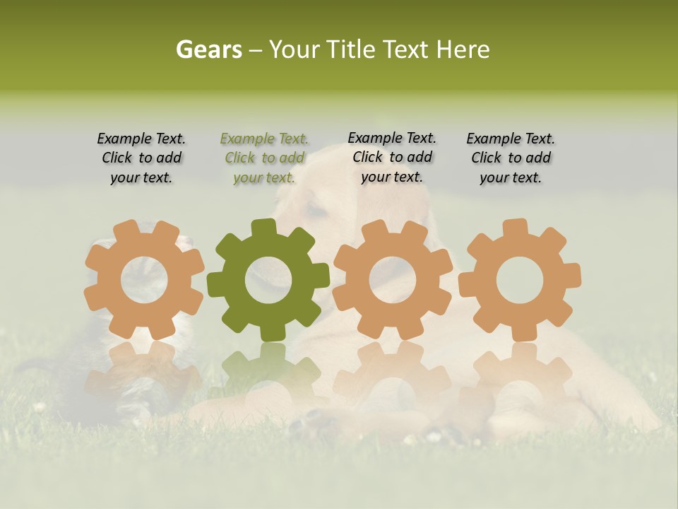 Two Lying Cat PowerPoint Template