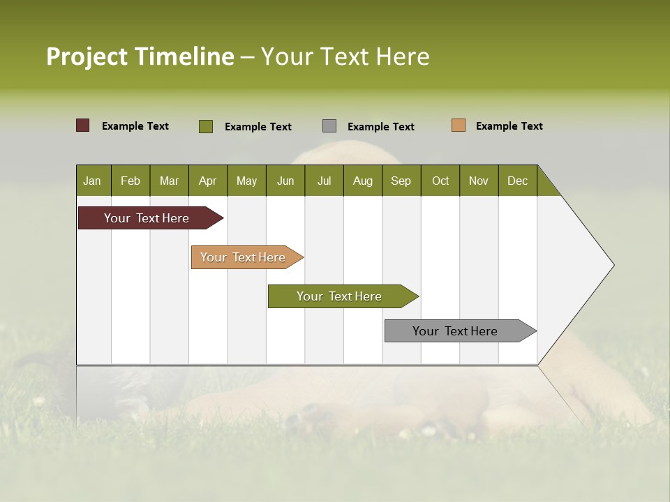 Two Lying Cat PowerPoint Template