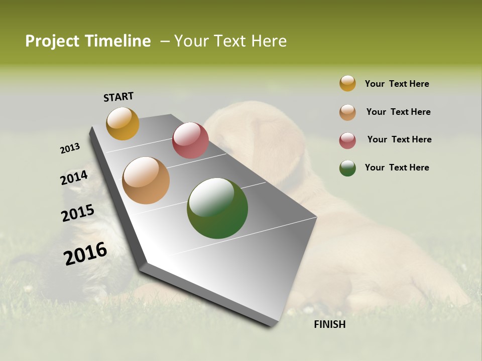 Two Lying Cat PowerPoint Template