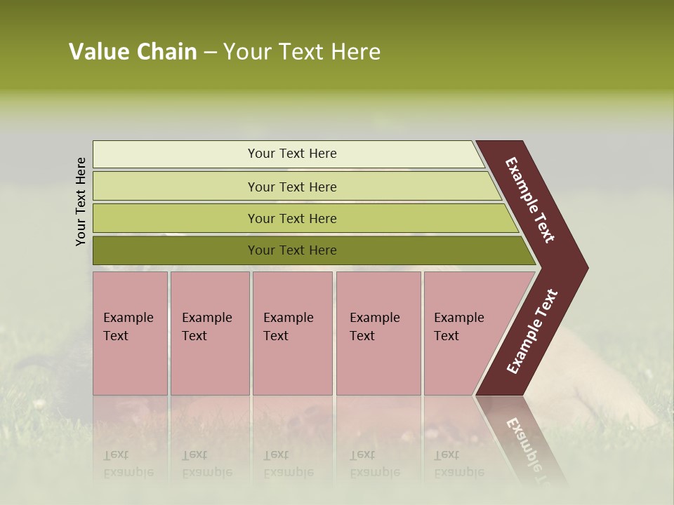 Two Lying Cat PowerPoint Template