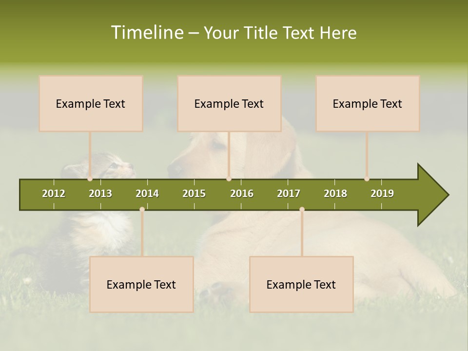 Two Lying Cat PowerPoint Template