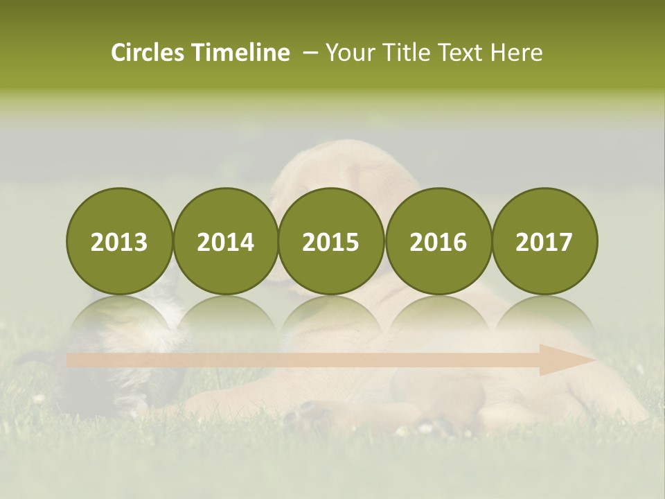 Two Lying Cat PowerPoint Template