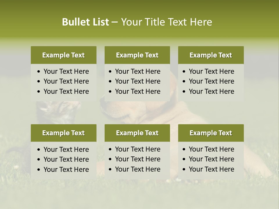 Two Lying Cat PowerPoint Template