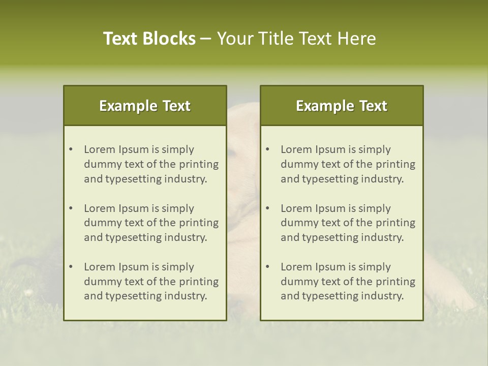 Two Lying Cat PowerPoint Template