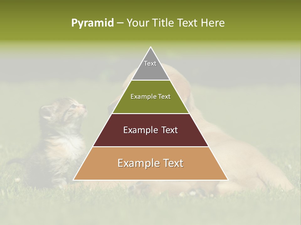 Two Lying Cat PowerPoint Template