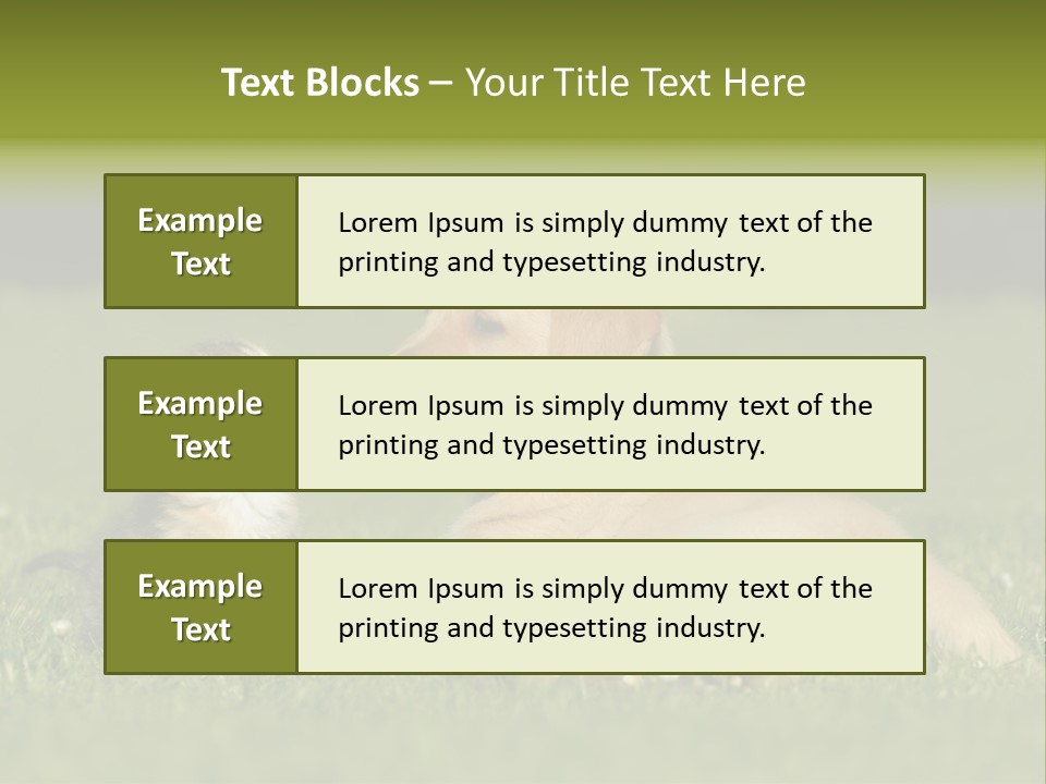 Two Lying Cat PowerPoint Template