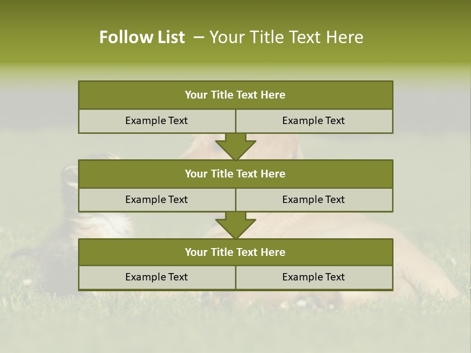 Two Lying Cat PowerPoint Template