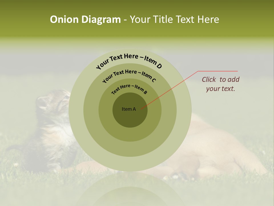 Two Lying Cat PowerPoint Template