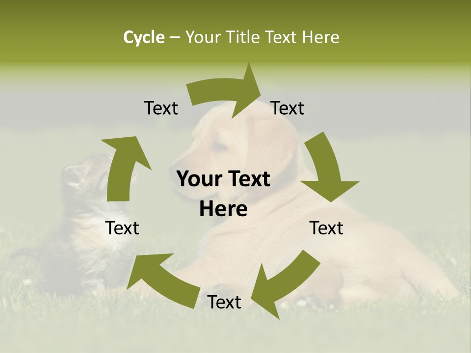 Two Lying Cat PowerPoint Template