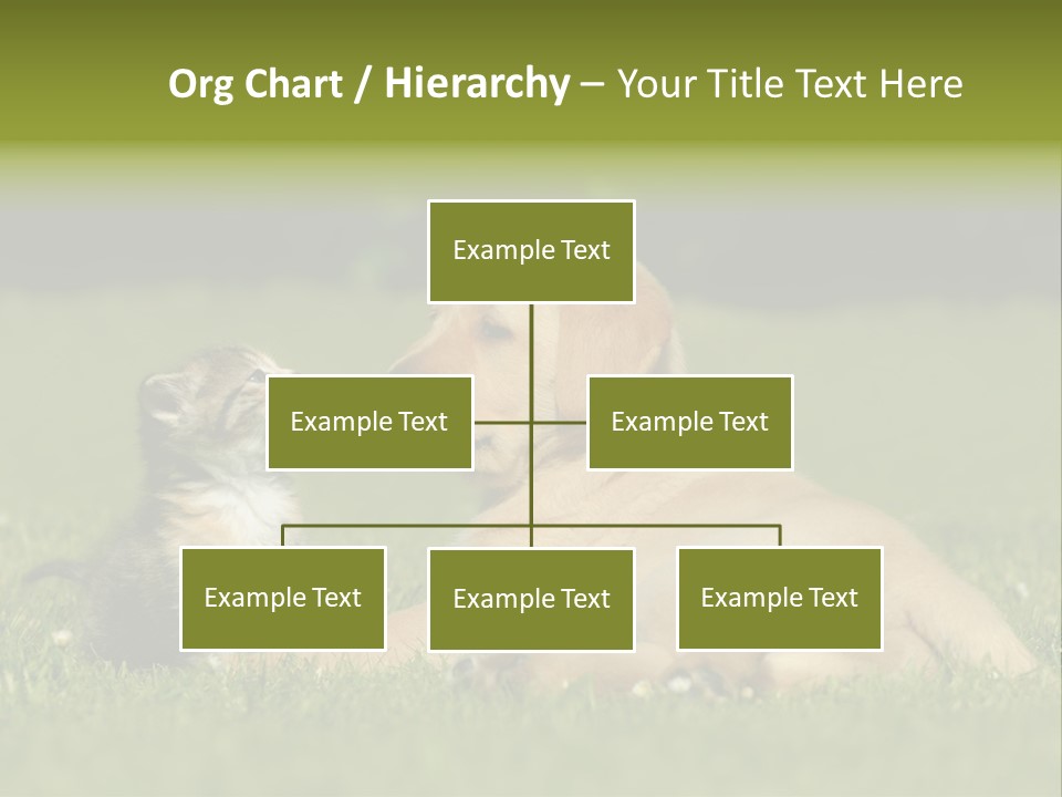 Two Lying Cat PowerPoint Template