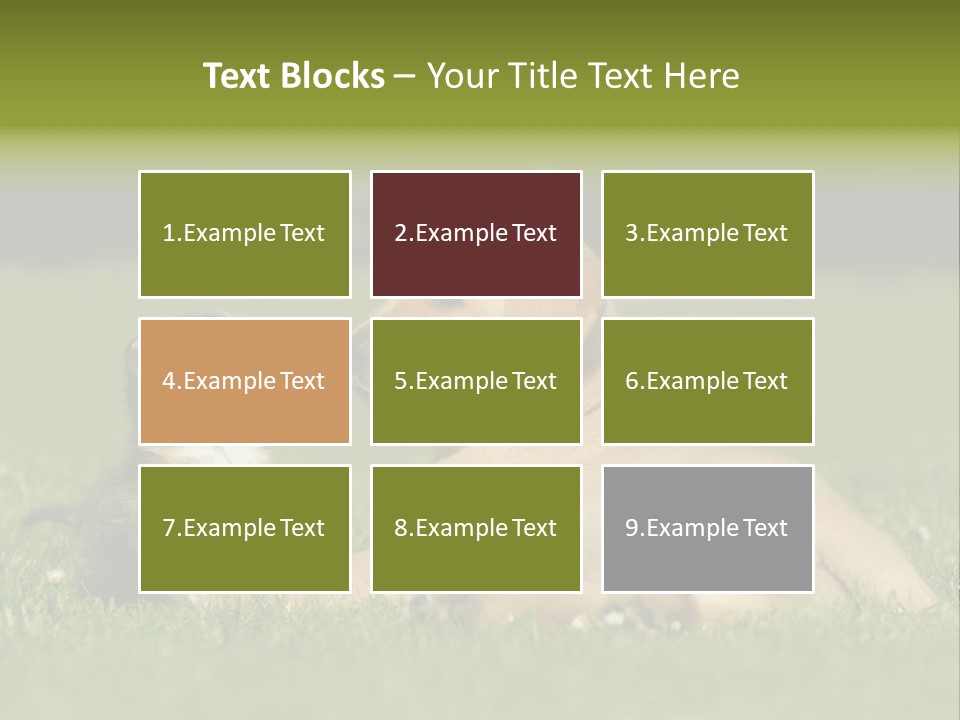 Two Lying Cat PowerPoint Template