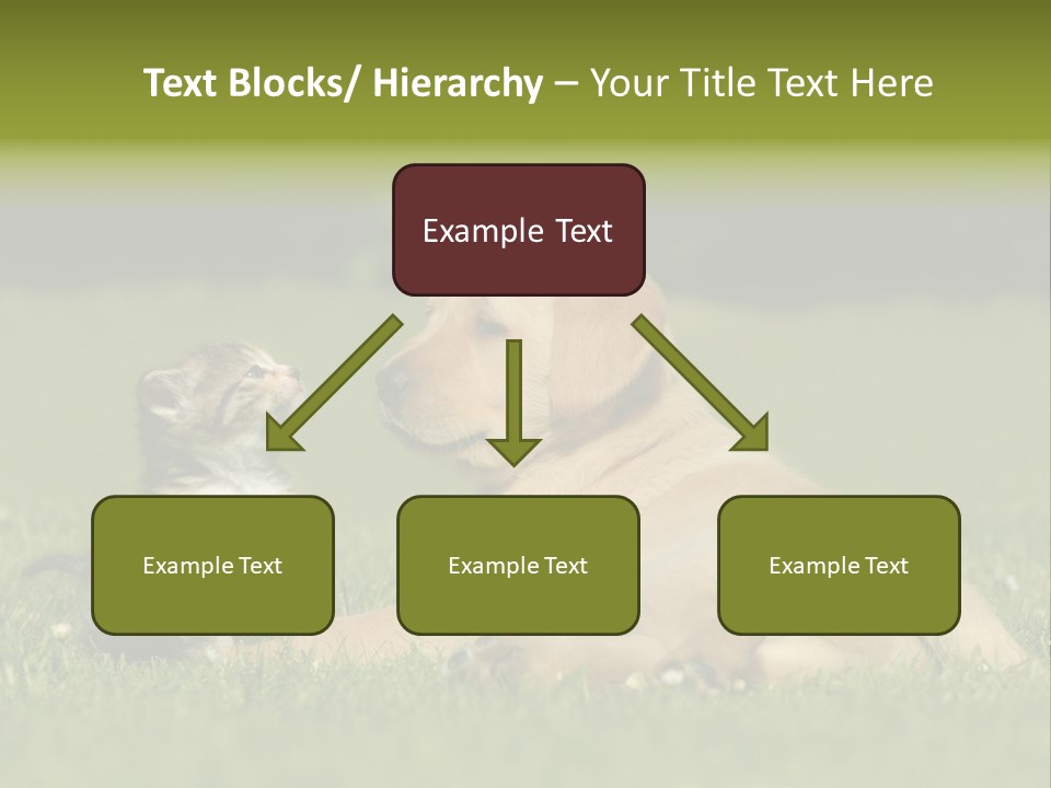 Two Lying Cat PowerPoint Template